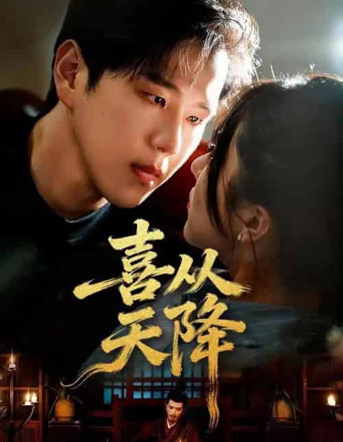 喜从天降（50集全）罗嘉麒＆辛润茜-紫橙网创项目网