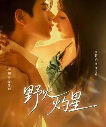 野火灼星（56集全）左铭＆李若琪-紫橙网创项目网