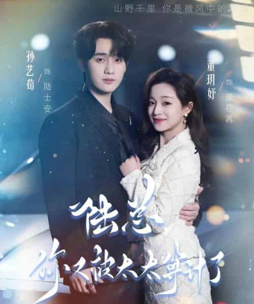 陆总,你又被太太算计了(70集全)董玥妤&孙艺荀-紫橙网创项目网