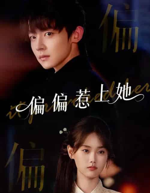 偏偏惹上她（55集）张颖菲＆李泽宇＆任润博-紫橙网创项目网