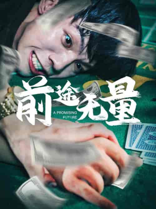 前途无量（65集全） - 紫橙阁短剧