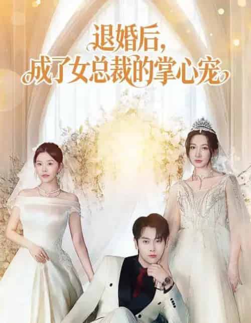 退婚后，成了女总裁的掌心宠（78集全）韩非儿＆刘锦辰-紫橙网创项目网