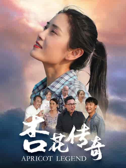杏花传奇（30集） - 紫橙阁短剧