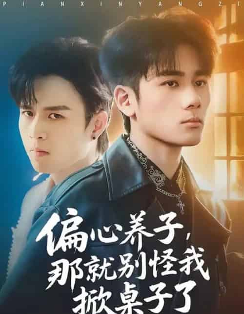 偏心养子,那就别怪我掀桌子了(80集全)张宇祥&周晓-紫橙网创项目网