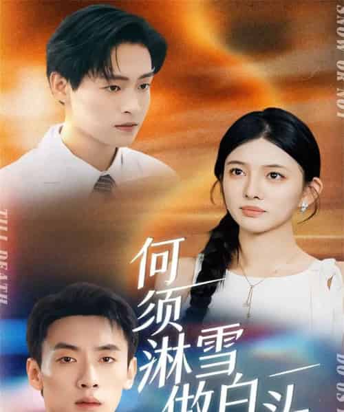 何须淋雪做白头(93集全)成岳&吴若溪-紫橙网创项目网