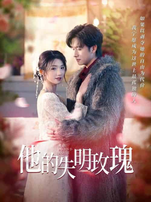 他的失明玫瑰（70集全）王彬茗＆陈明 - 紫橙阁短剧