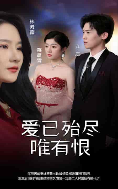 爱已殆尽唯有恨（61集全） - 紫橙阁短剧