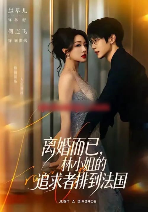 离婚而已,林小姐的追求者排到法国(79集全)何连飞&赵早儿-紫橙网创项目网