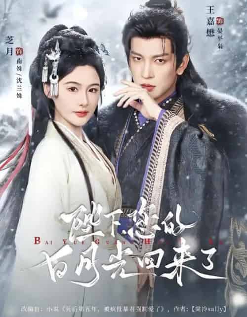 陛下您的白月光回来了（100集全）王嘉懋＆芝月-紫橙网创项目网