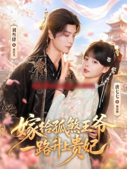 嫁给孤煞王爷一路升上贵妃（70集全）刘叁肆＆唐七七（1080P）-紫橙网创项目网