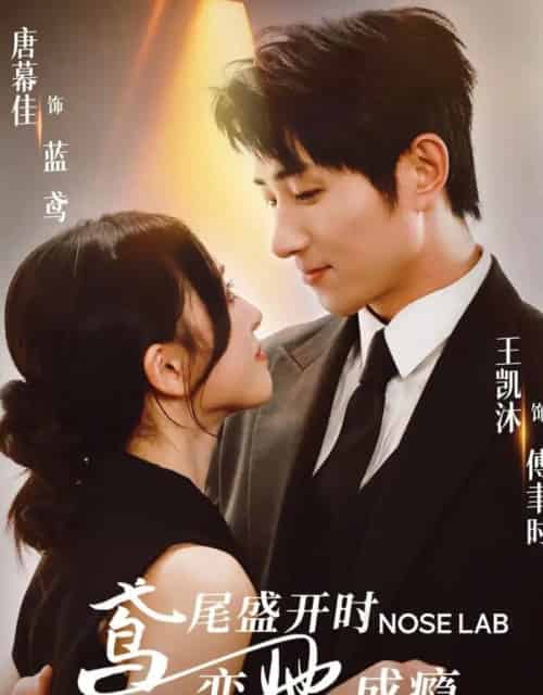 鸢尾盛开时恋她成瘾(20集)王凯沐&唐幕佳-紫橙网创项目网