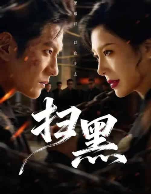 扫黑（70集全）黄涛＆章滢-紫橙网创项目网