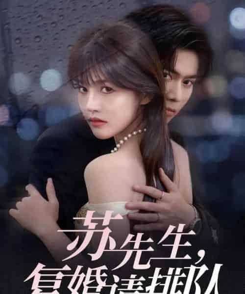 苏先生,复婚请排队(70集全)李沐阳&曹千祎-紫橙网创项目网