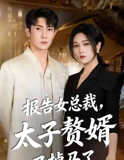 报告女总裁，太子赘婿又掉马了（67集全）王子铭＆刘昕悦-紫橙网创项目网