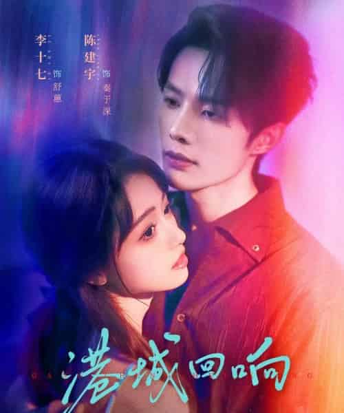 港城回响（79集全）陈建宇＆李十七-紫橙网创项目网