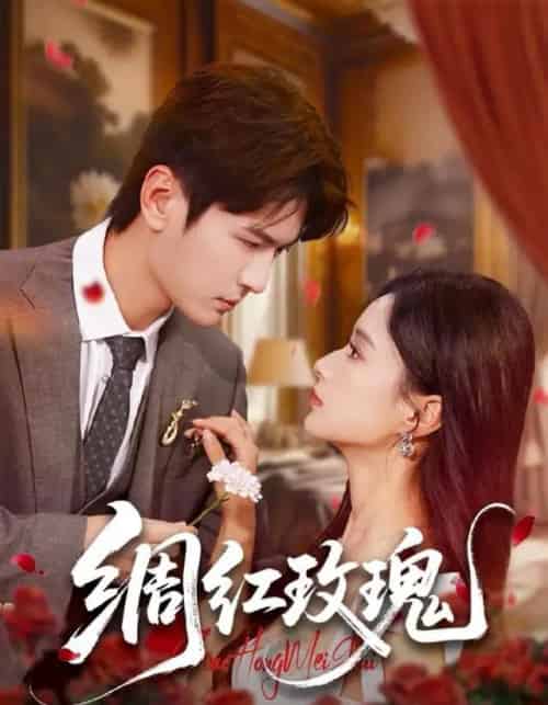 绸红玫瑰（86集全）杨皓然＆王宇婧-紫橙网创项目网
