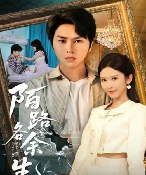 陌路各余生 陌路各余生