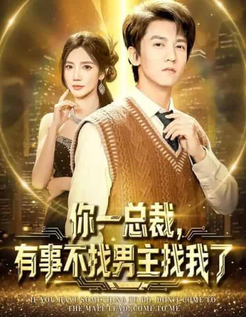你一总裁,有事不找男主找我了 你一总裁,有事不找男主找我了
