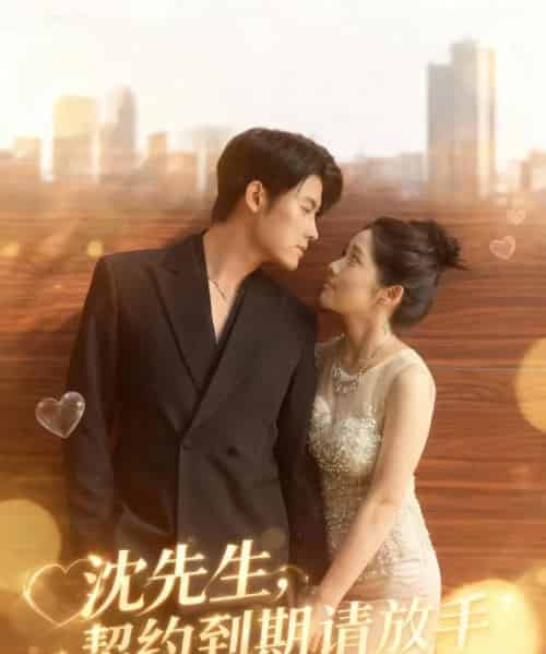 沈先生,契约到期请放手 沈先生,契约到期请放手