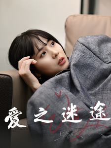 爱之迷途（42集） - 紫橙阁短剧