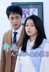 许总，夫人又人格分裂了（85集） - 紫橙阁短剧