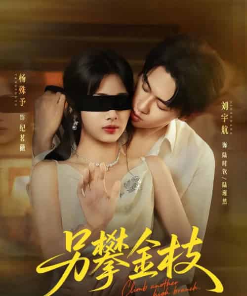 另攀金枝(60集)刘宇航&杨殊予-紫橙网创项目网