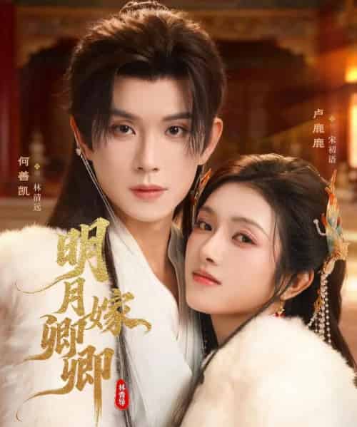 明月嫁卿卿(82集全)何善凯&卢鹿鹿-紫橙网创项目网