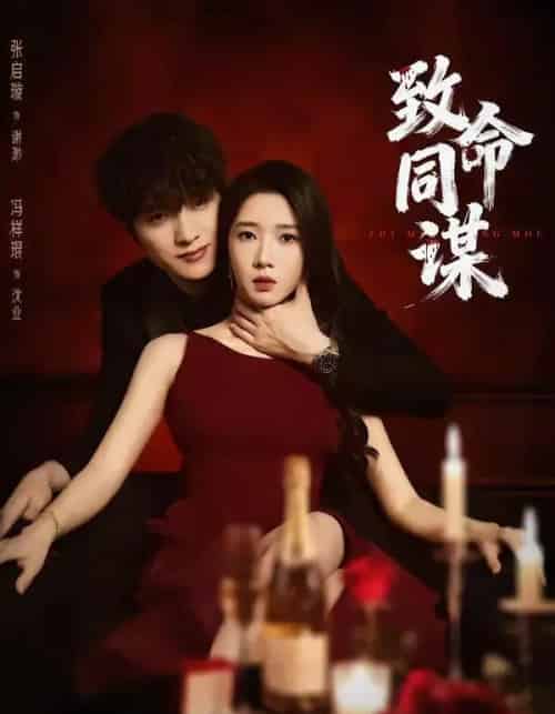 致命同谋（63集全）冯祥琨＆张启旋-紫橙网创项目网