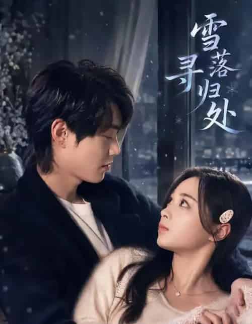 雪落寻归处（60集全）邓漫仪＆张凌尘-紫橙网创项目网