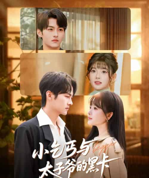 小乞丐与太子爷的黑卡（60集全）臧晓嘉（嘉言）＆远雨艾-紫橙网创项目网