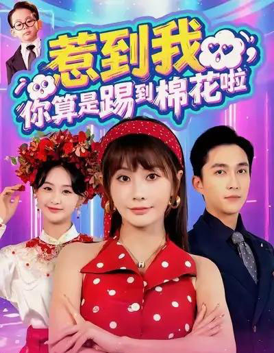 惹到我，你算是踢到棉花啦（67集全）陈楚洹＆娄宇瑶-紫橙网创项目网