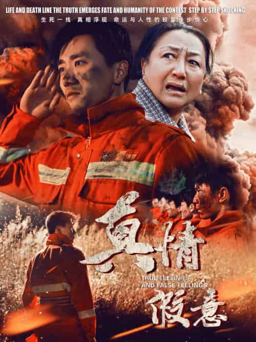 真情假意（62集） - 紫橙阁短剧
