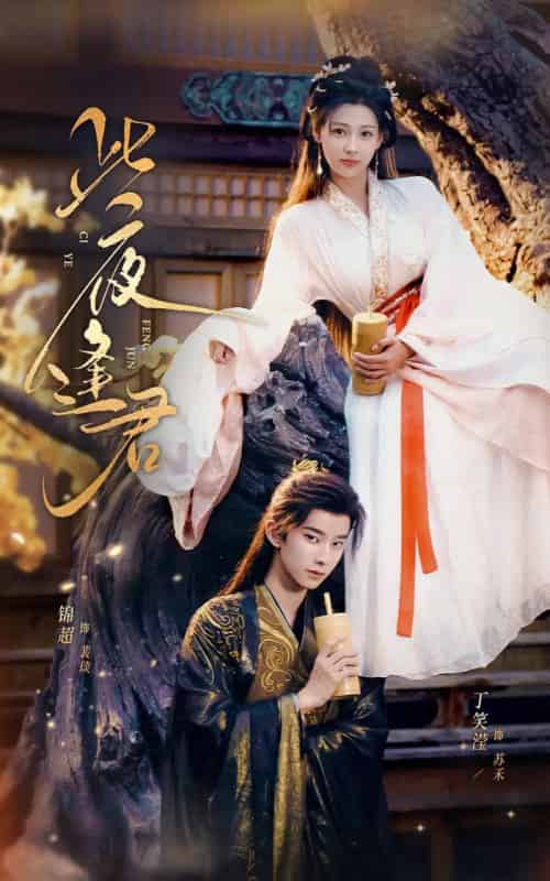此夜逢君（76集全）锦超＆丁笑滢 - 紫橙阁短剧