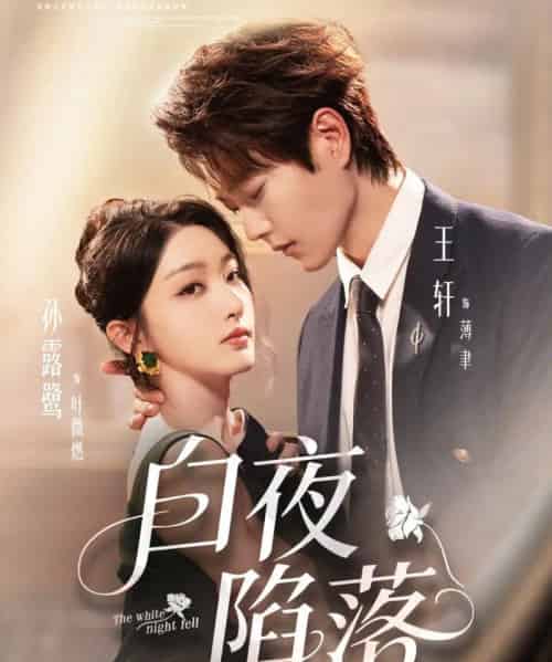 白夜陷落（81集全）王轩＆孙露鹭-紫橙网创项目网