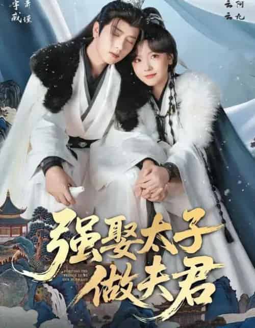 强娶太子做夫君（67集全）王宇威＆王云云-紫橙网创项目网