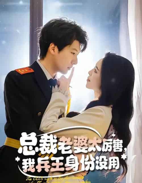 总裁老婆太厉害，我兵王身份没用（80集全）刘照娅＆戚正-紫橙网创项目网