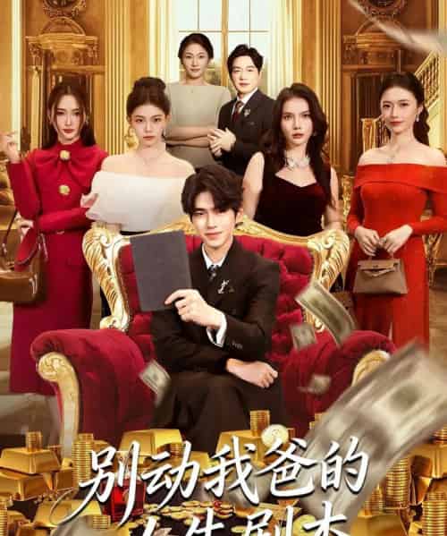 别动我爸的人生剧本(85集全)柯博伦&管素儿-紫橙网创项目网