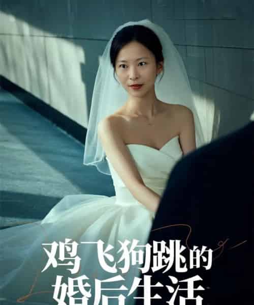 鸡飞狗跳的婚后生活（28集）杨静静 - 紫橙阁短剧