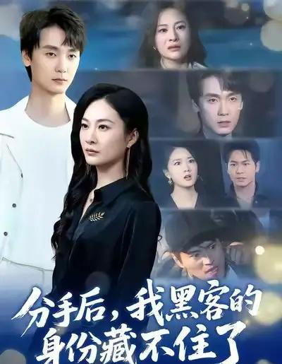 分手后,我黑客的身份藏不住了(80集全)宋雯娟&唐元盛-紫橙网创项目网