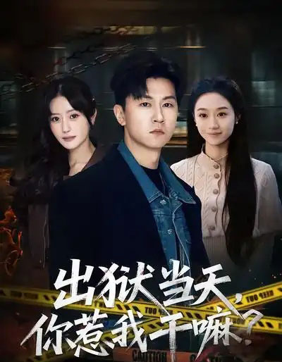 出狱当天，你惹我干嘛？（62集全）王鹏＆郑皓月-紫橙网创项目网
