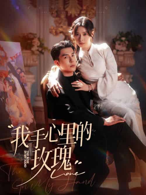我手心里的玫瑰（91集全）李佳琛＆韩琪 - 紫橙阁短剧