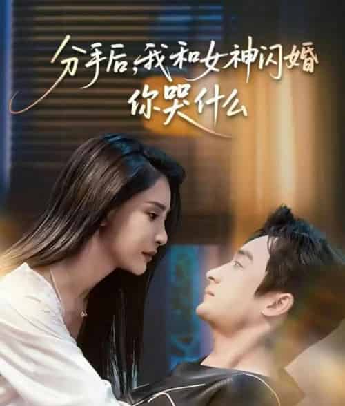 分手后,我和女神闪婚你哭什么&悲欢离合总无情(80集全)王家霖&许子吟-紫橙网创项目网