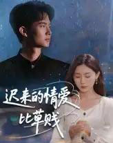迟来的情爱比草贱（46集） - 紫橙阁短剧