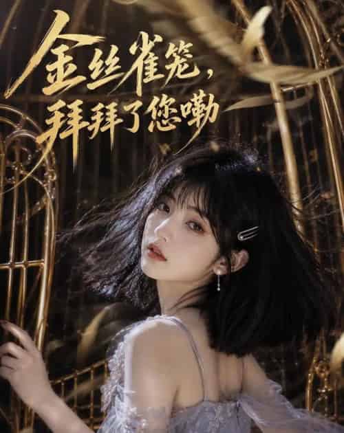 金丝雀笼,拜拜了您嘞(40集全)AI-紫橙网创项目网