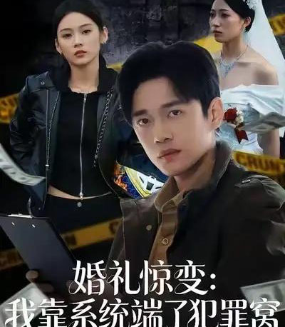 婚礼惊变：我靠系统端了犯罪窝（80集全）郏元栋＆李坤怡-紫橙网创项目网