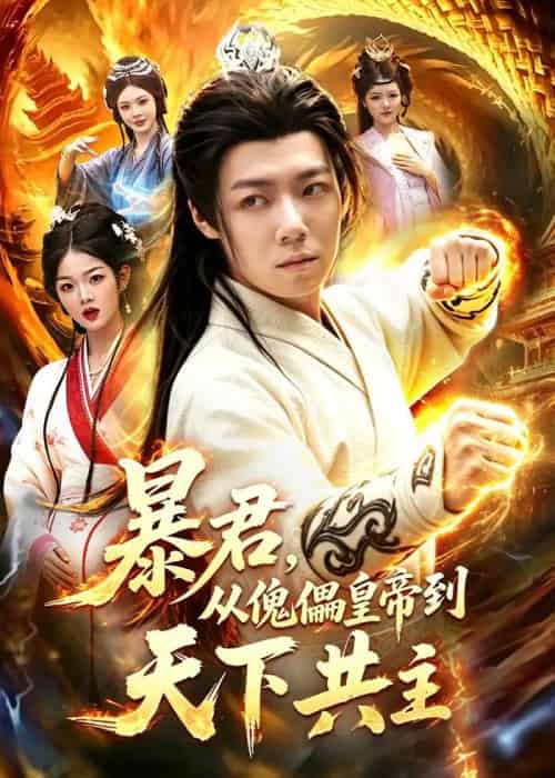 暴君,从傀儡皇帝到天下共主(78集全)刘俊锋&姜琪-紫橙网创项目网