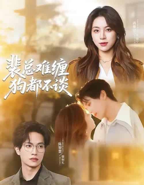 裴总难缠狗都不谈（65集全）陈智慧＆高曼尔-紫橙网创项目网