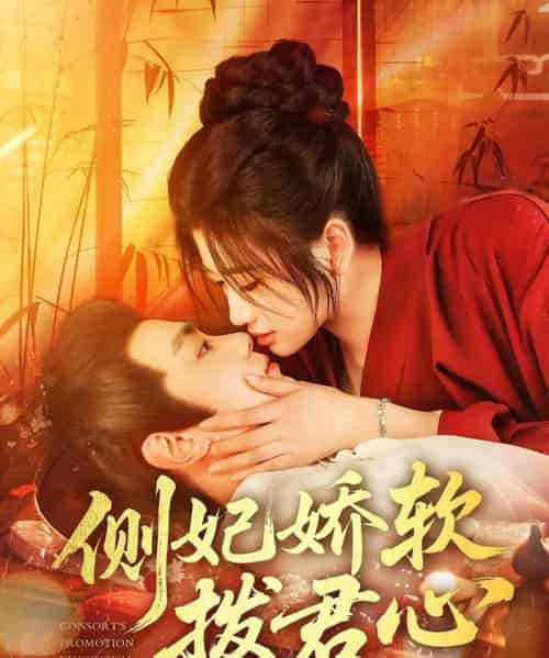 侧妃娇软拨君心 侧妃娇软拨君心