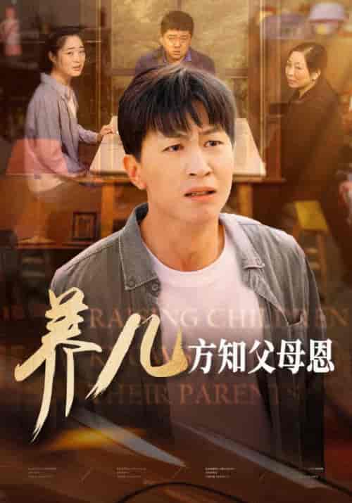养儿方知父母恩（48集全）陈雨飞＆陈雨涵 - 紫橙阁短剧