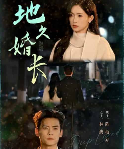 地久婚长（69集全）陈柏乔＆林鸽-紫橙网创项目网